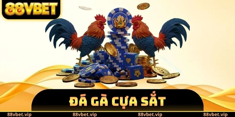 Đá Gà Cựa Sắt - Giáo Án Nuôi Chiến Kê Đấu Đâu Thắng Đó 2 Đá Gà Cựa Sắt